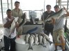 (05/27/2014) - Nice Striped Bass